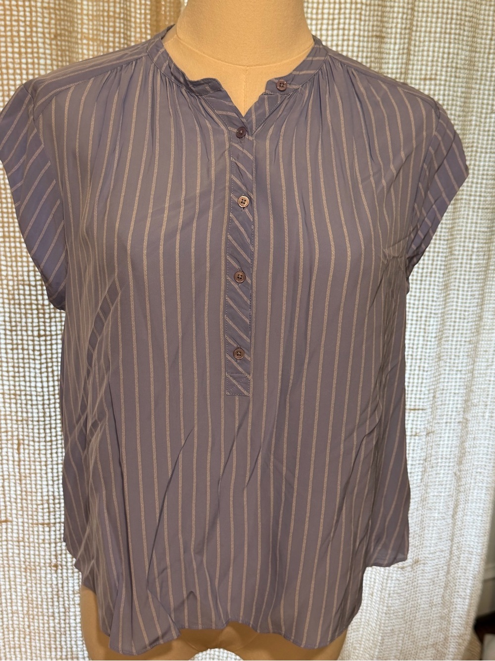 Joie Hassie Blue and White Striped Cap Sleeve Blouse XS
